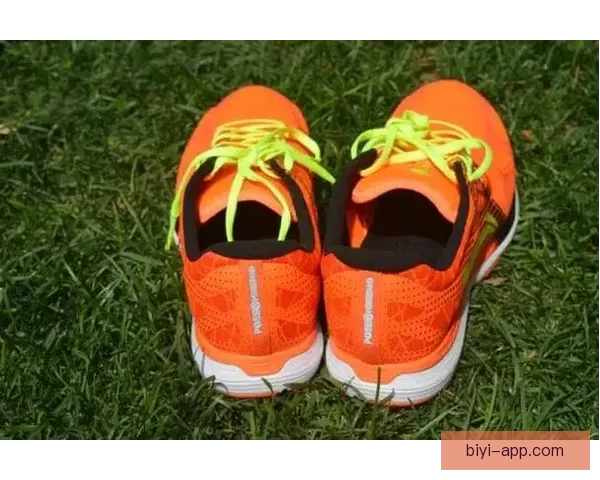 必一体育平台体验全面解析功能与实用性深度评测报告